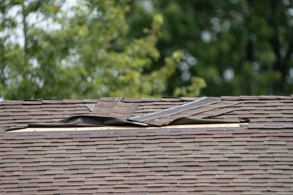 trusted Port Orchard, WA roof repair and replacement experts