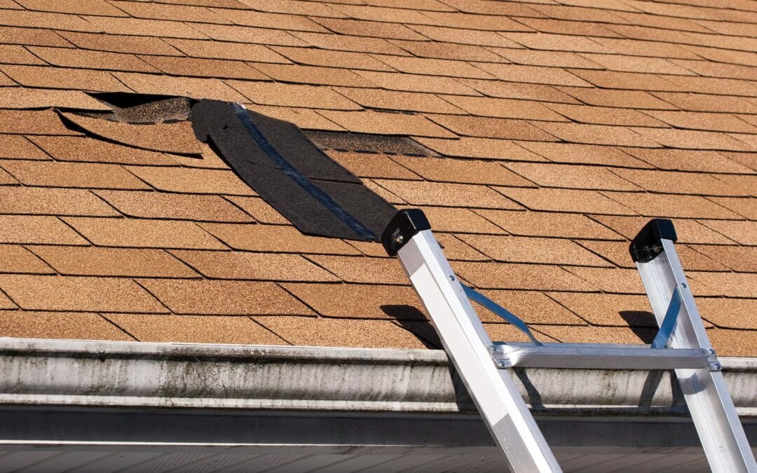 spring roof problems, spring roof damage, roof repair, Port Orchard