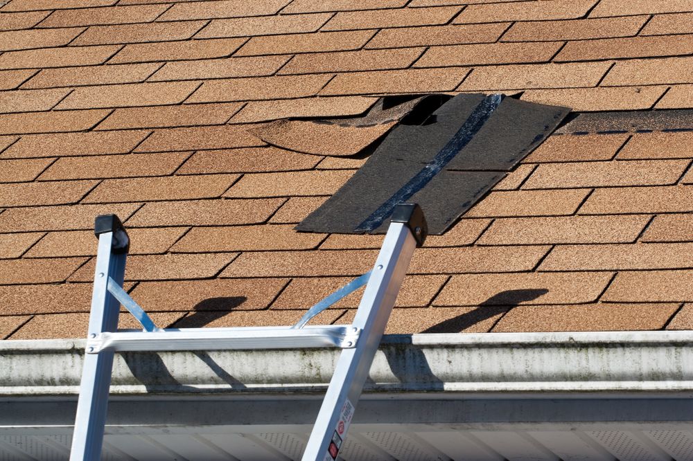 assessing storm damage