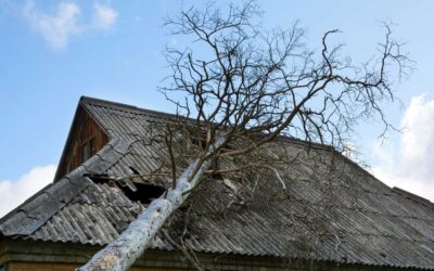 How to Assess Storm Damage on Your Port Orchard Roof