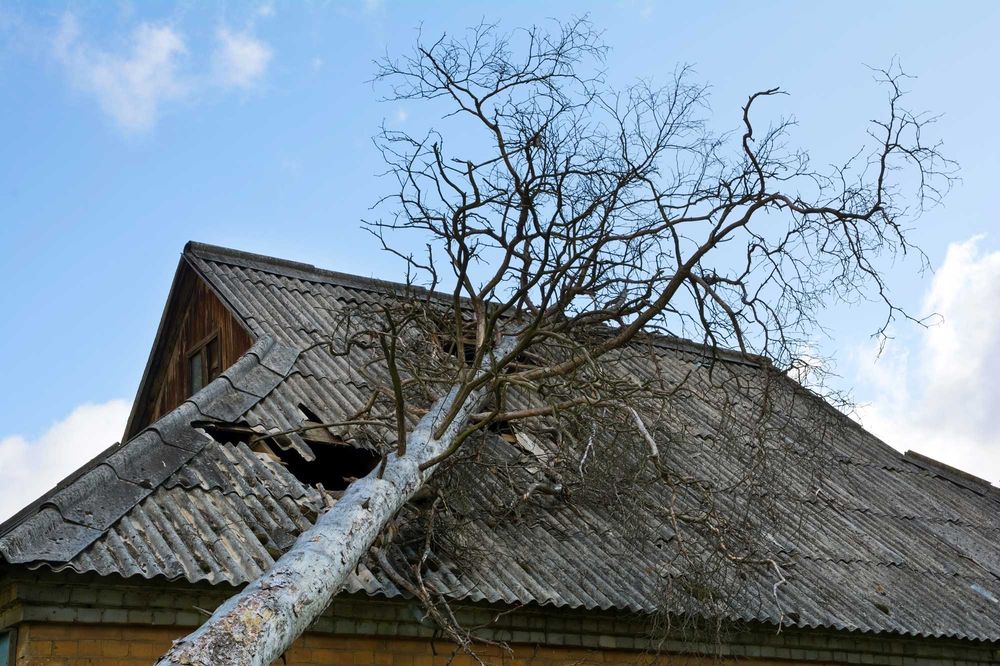 how to determine storm damage on roof in port orchard