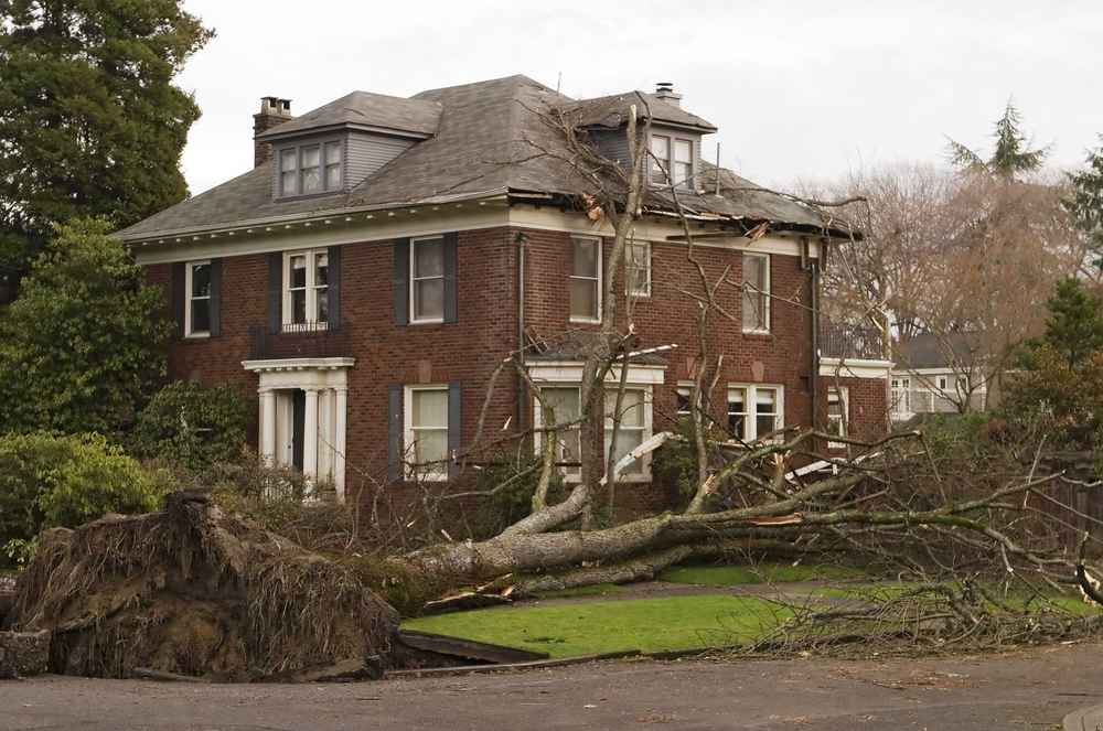 trusted storm damage repair expert in Fragaria WA