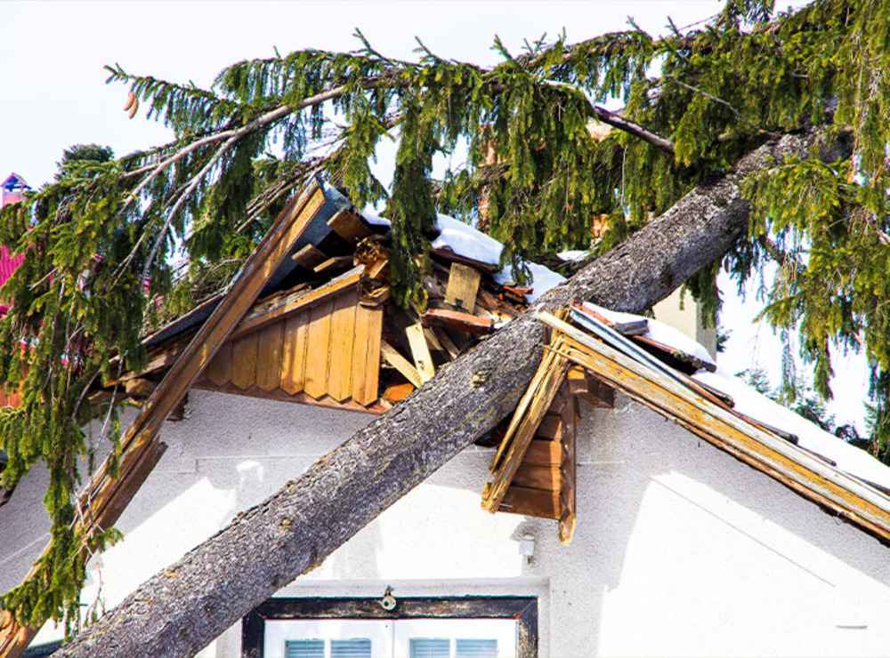 trusted storm damage expert in Hansville WA
