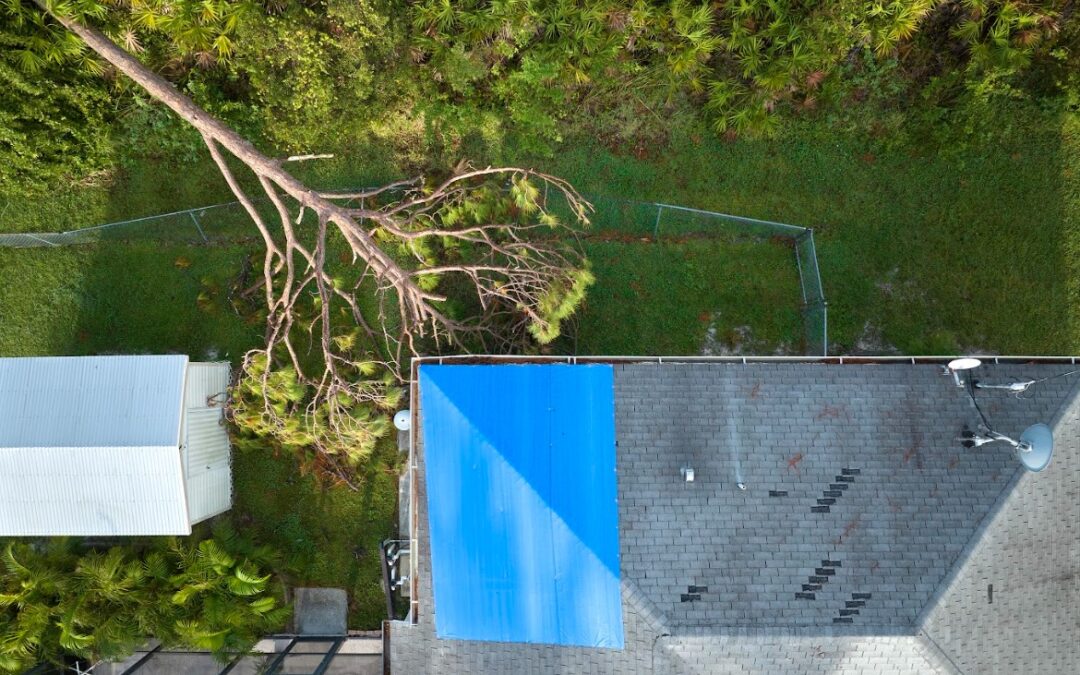 reasons your roof might fail in Port Orchard, WA
