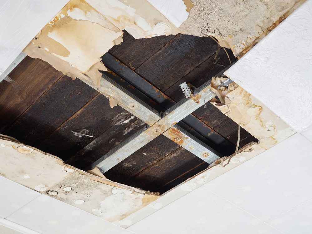 roof leaks warning signs