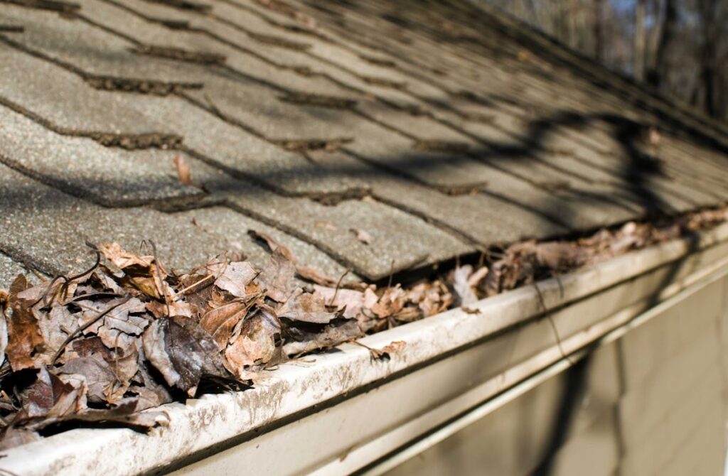 Port Orchard clogged gutters