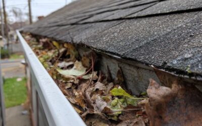 The real danger of clogged gutters in Port Orchard and how your roof suffers