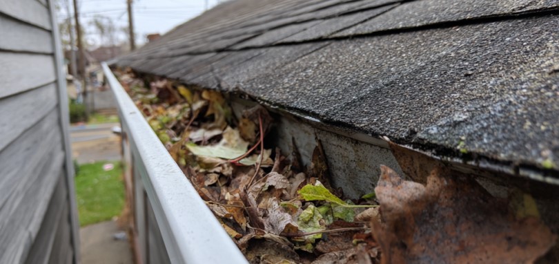 clogged gutters in Port Orchard, WA